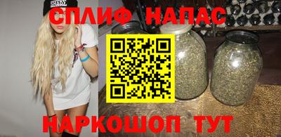 СК Новокубанск