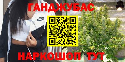 СК Новокубанск