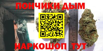 СК Новокубанск