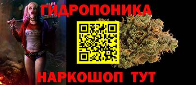 СК Новокубанск