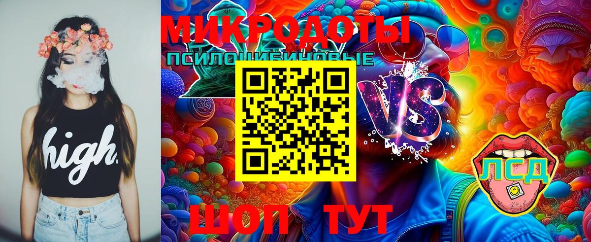 Галлюциногенные грибы MAGIC MUSHROOMS  Вход с VPN  Феодосия 