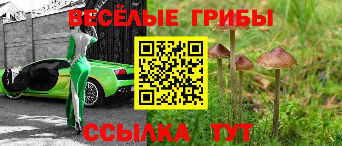 Псилоцибиновые грибы ЛСД Феодосия